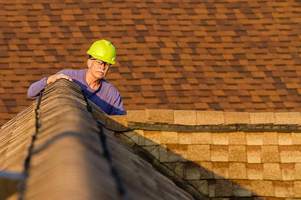 Best Roof Gutter Cleaning  in Lockport, NY