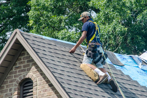 Best Roof Gutter Cleaning  in Lockport, NY